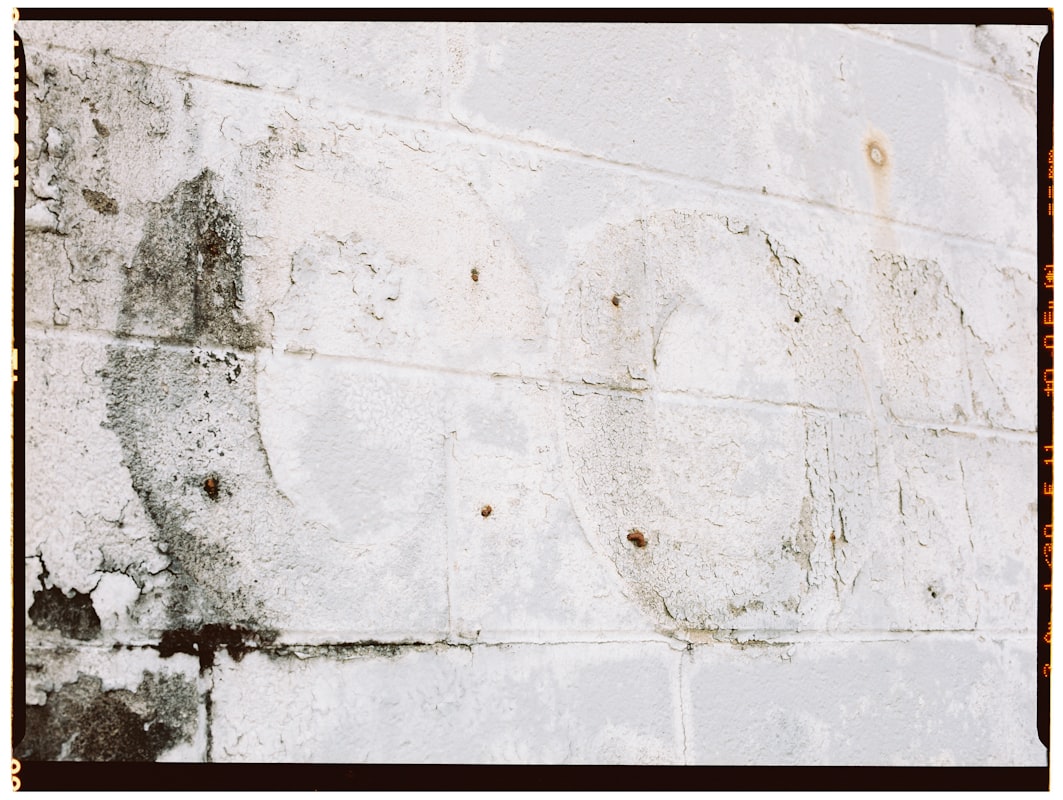 Mold Remediation service in Pharr, TX