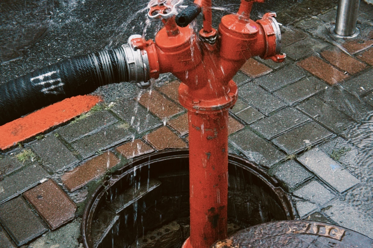 Commercial water damage restoration in Pharr